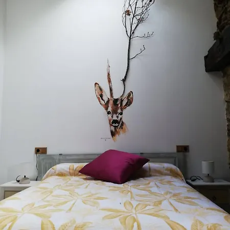Casa Petra *