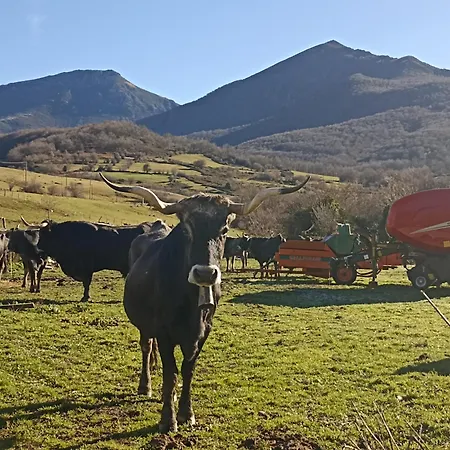Apartment Casa Petra Puente Pumar