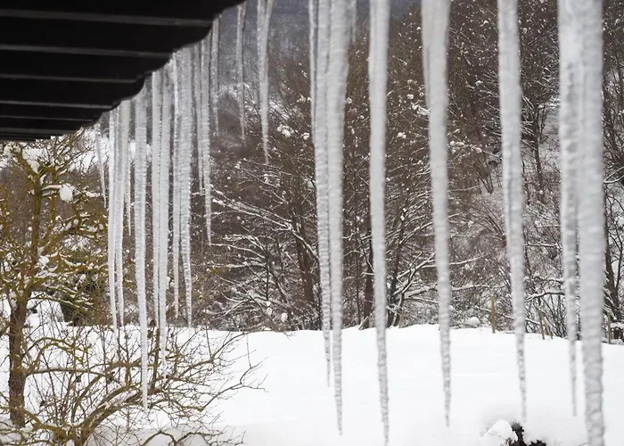 Appartement Casa Petra