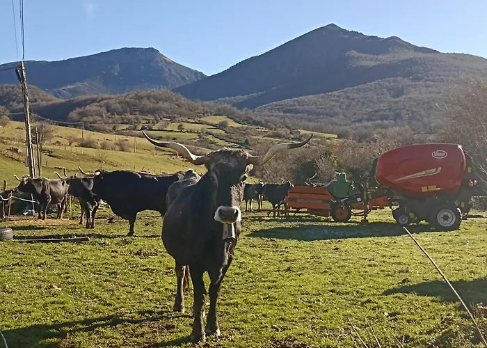 Appartement Casa Petra Puente Pumar
